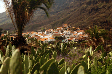 Gran Canaria Natuur