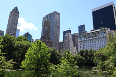 central park new york